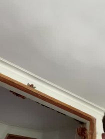 Poster for Birthday video from Lukas Arnold