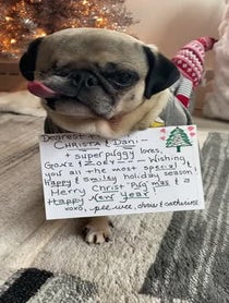 Poster for Holiday video from Pee Wee Aloysius the Pug