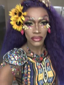Poster for Other video from The Vixen