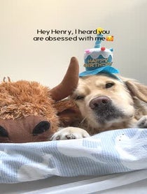 Poster for Birthday video from Horlicks the Golden