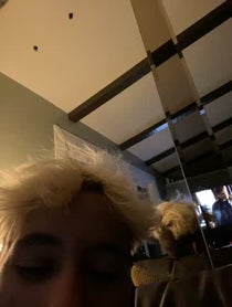 Poster for Wedding shoutout video from gabenies