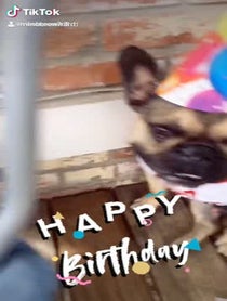 Poster for Birthday video from Nino Pacino Brown