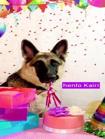 Poster for Birthday video from Anya