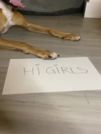 Poster for Other video from Callum The Ridgy