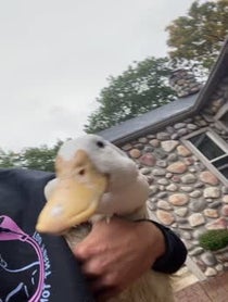 Poster for Other video from Too Turnt Tony