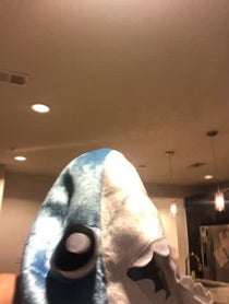 Poster for Birthday video from Alexis Waters