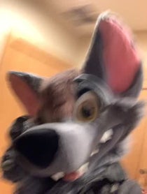 Poster for Other video from Ace Of Hearts Fox