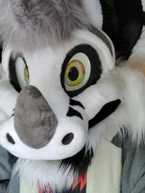 Poster for Other video from BetaEtaDelota