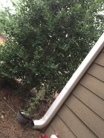 Poster for Other video from Sierra Capri