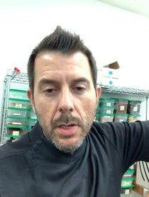 Poster for Other video from Kriss Harvey