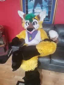 Poster for Other video from Pineapple Fox