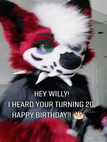 Poster for Birthday video from Tigermoon