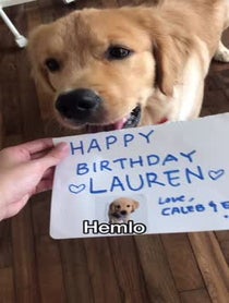 Poster for Birthday video from Eli Hachiko
