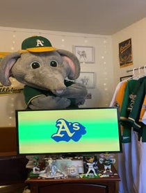 Poster for Other video from Stomper The Elephant