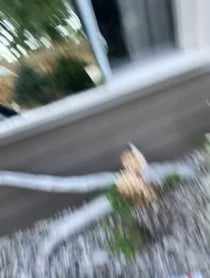 Poster for Pep Talk video from Too Turnt Tony