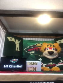 Poster for Birthday video from Nordy Wild