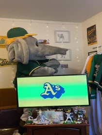 Poster for Birthday video from Stomper The Elephant