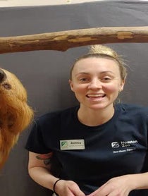 Poster for Birthday video from Curly the Sloth at Houston Zoo