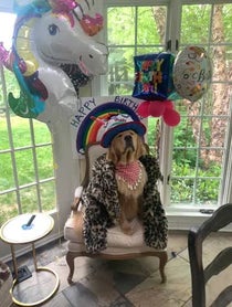 Poster for Birthday video from Bam Bam