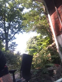 Poster for Other video from Cousin Nick Mariconi