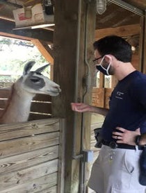 Poster for Other video from Fiesta the Llama at Houston Zoo