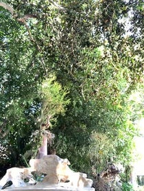 Poster for Other video from Evan Eckenrode