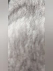 Poster for Other video from Fomo The Cat