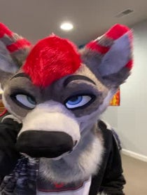 Poster for Birthday video from Dayzer Husky