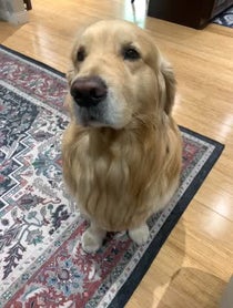 Poster for Mother's Day video from Garth the Golden
