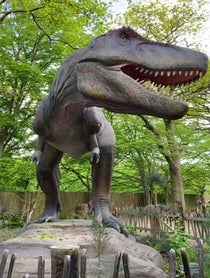 Poster for Other video from Rex the T-Rex