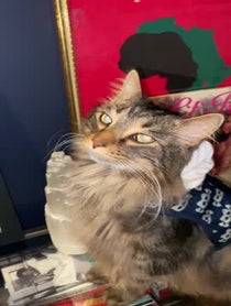 Poster for Birthday video from Aaron Purr Sir