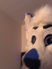 Poster for Other video from Marks Barks