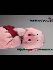 Poster for Other video from Wibbs The Pig