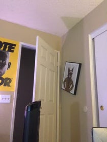Poster for Other video from Horizons Eclipse