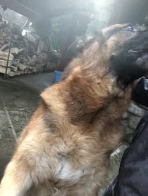 Poster for Other video from Kamil Nicalek