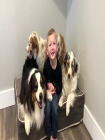 Poster for Birthday video from Green Valley Aussies