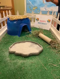 Poster for Birthday video from Ande & Graham the Chinchillas