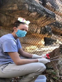 Poster for Holiday video from Cougar at Houston Zoo