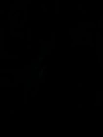 Poster for Other video from Taylor Lynn