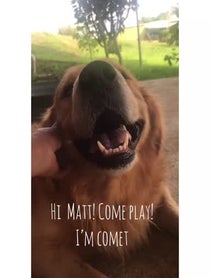 Poster for Other video from Josie & Comet