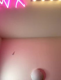 Poster for Birthday video from Norman Freeman