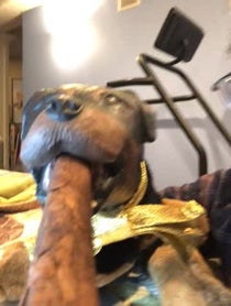 Poster for Holiday video from Triumph the Insult Comic Dog