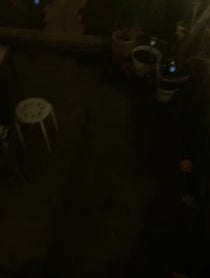 Poster for Other video from Ruby Roo