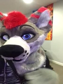 Poster for Other video from Dayzer Husky