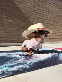 Poster for Other video from Inna The Explorer