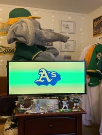 Poster for Birthday video from Stomper The Elephant
