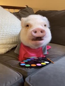 Poster for Birthday video from Hamlet The Piggy