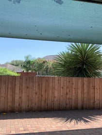 Poster for Birthday video from Lorena Abreu