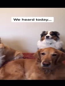 Poster for Other video from Jaden Kingsley