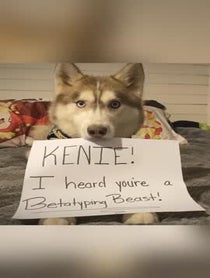 Poster for Other video from Banner The Super Dog